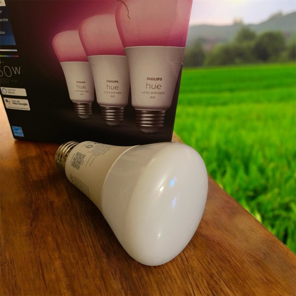 Philips Hue White and Color Smart Bulb 800